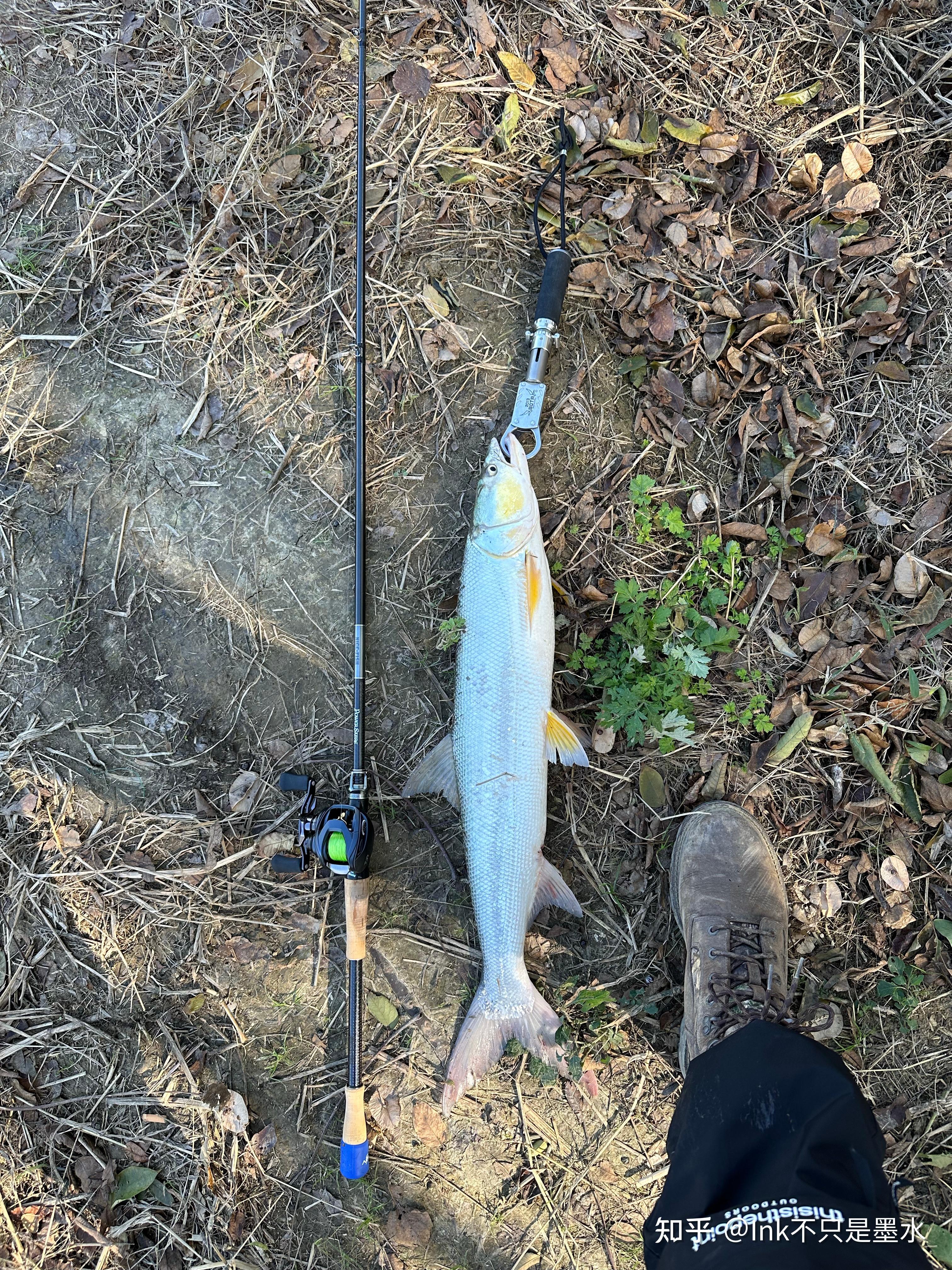 路亚竿的图片(路亚竿图片及价格)