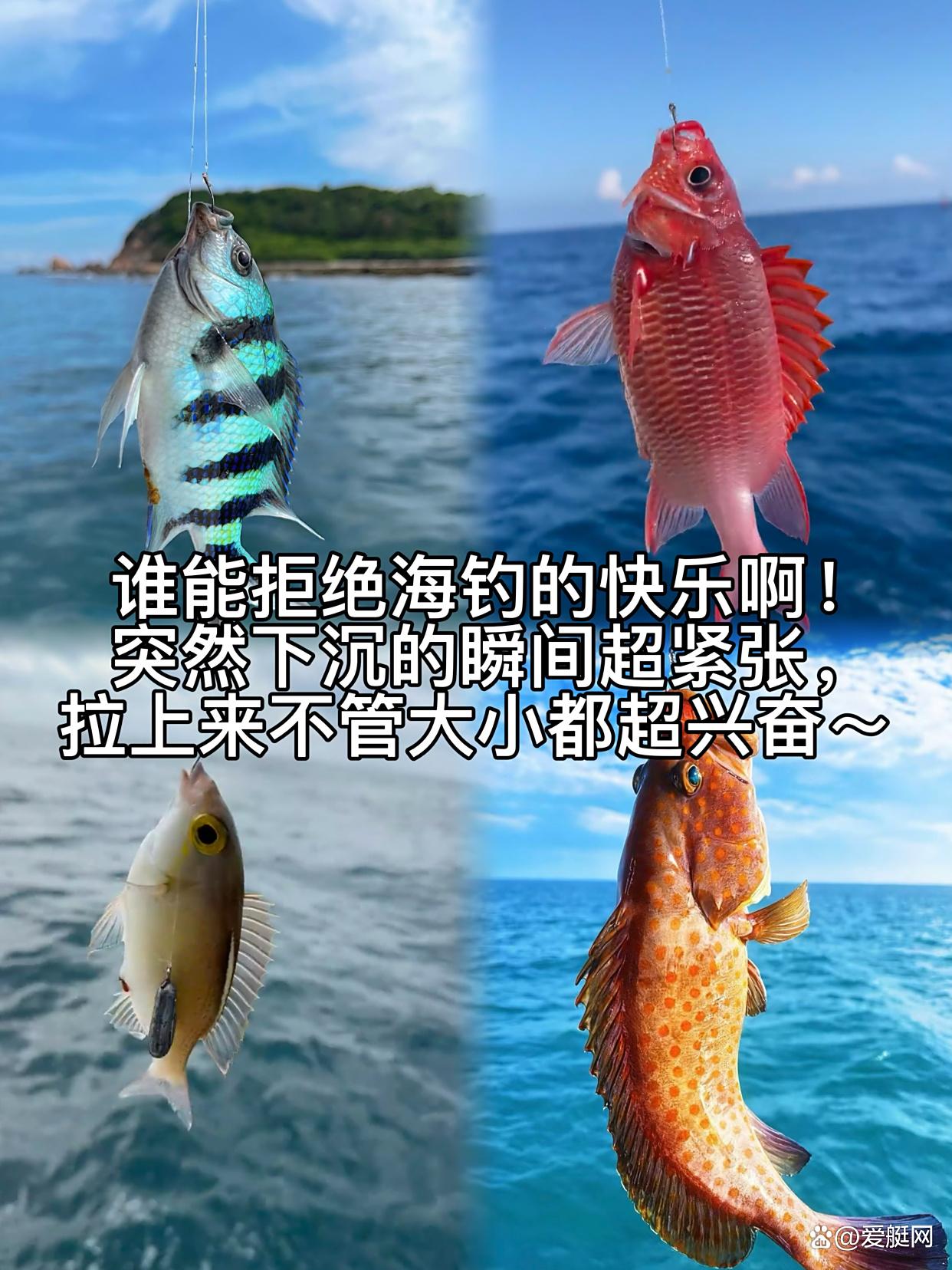 三亚海钓几点(三亚海钓好玩吗)