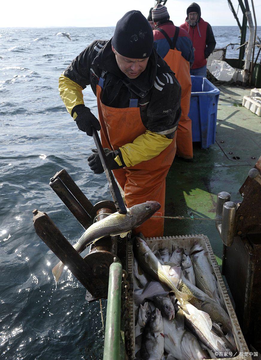 海钓旗鱼精彩镜头(钓旗鱼用多少号的鱼竿)