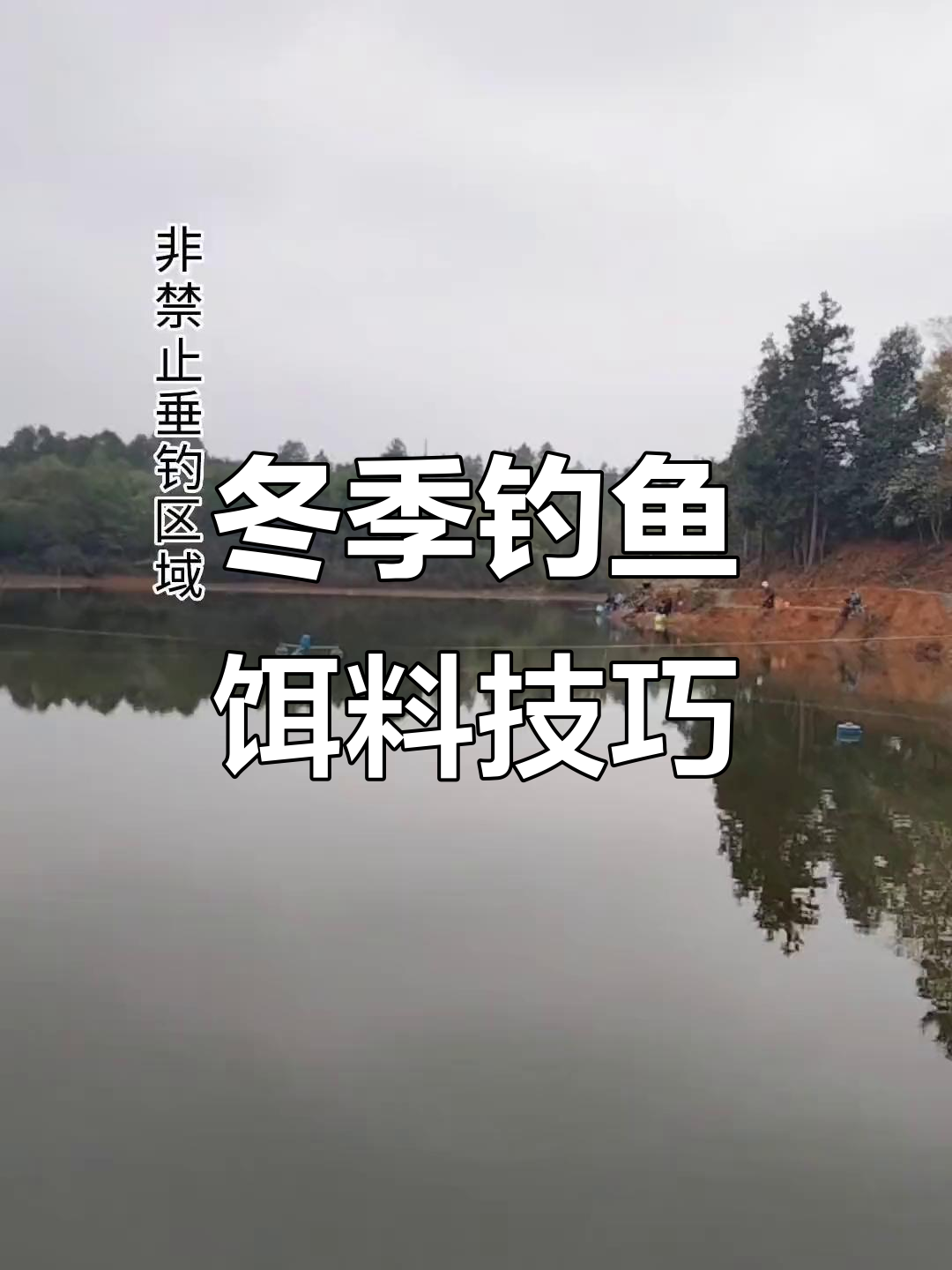 冬季池塘钓鲫鱼技巧(冬季池塘钓鲫鱼技巧和方法)