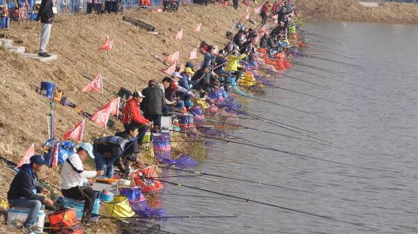 东营渤海钓鱼(东营渤海湾在哪)