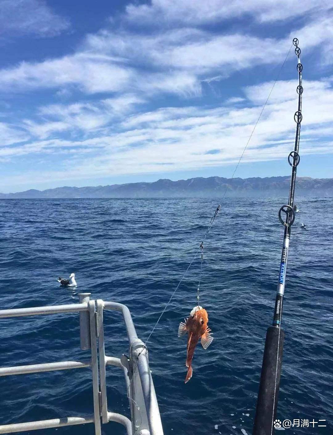 浪大怎么海钓(野钓浪大怎么钓)