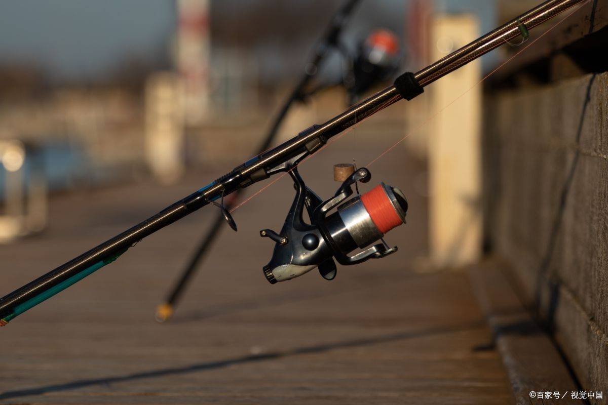 美国渔具(美国渔具店里面长啥样)