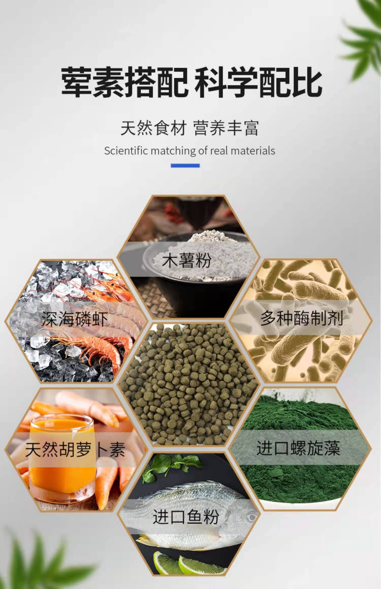 藻类钓鱼饵料有那些(藻类饵料钓鲫鱼怎么样)