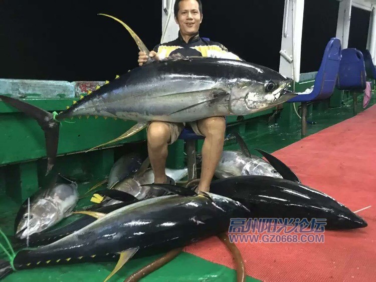 南油海钓组织(南油海钓油井位置)