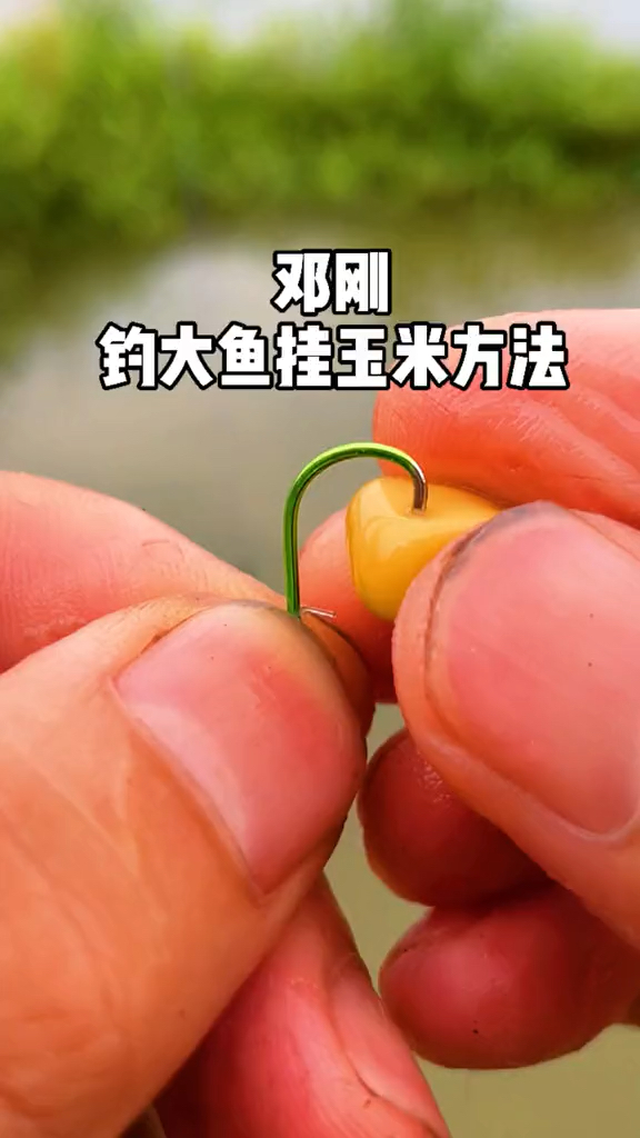 手竿挂玉米钓鱼技巧(手竿挂玉米钓鱼技巧图解)