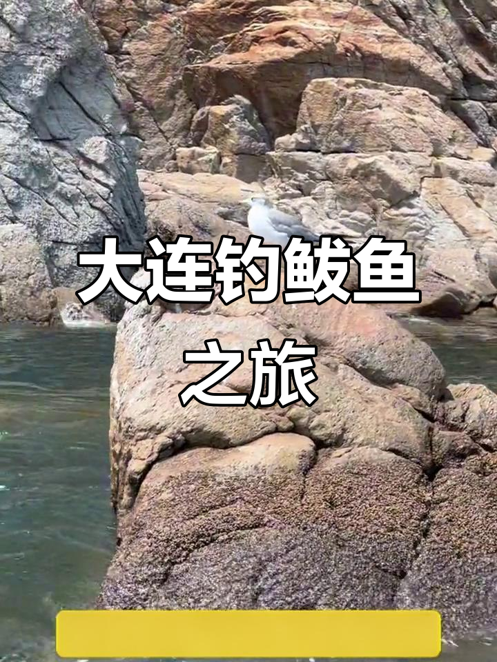 北方海钓鲅鱼季节(海钓鲅鱼什么时候最好)