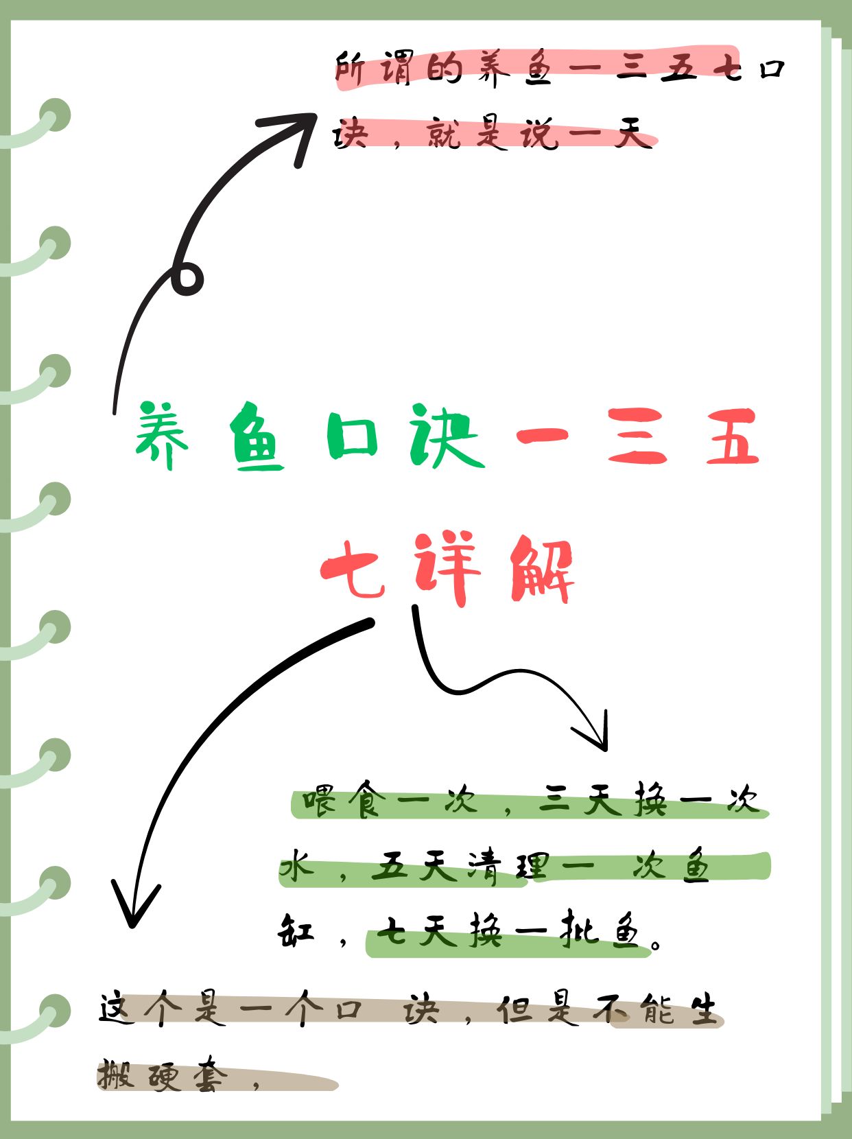 小鱼换血技巧(小鱼换水的正确方法)