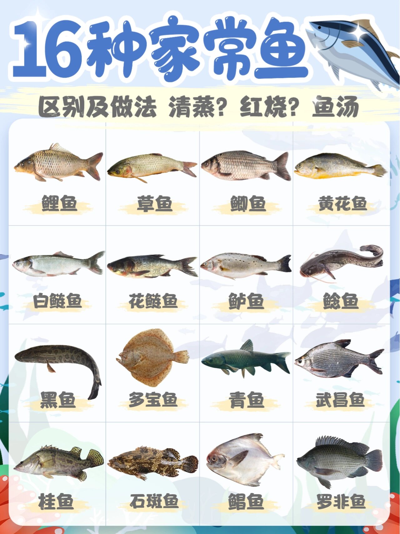 卖鱼进货有什么技巧(卖鱼进货有什么技巧和方法)