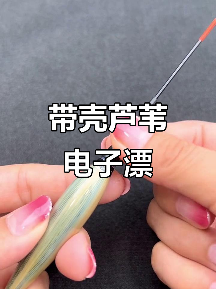 芦苇浮漂技巧(芦苇漂怎么使用)