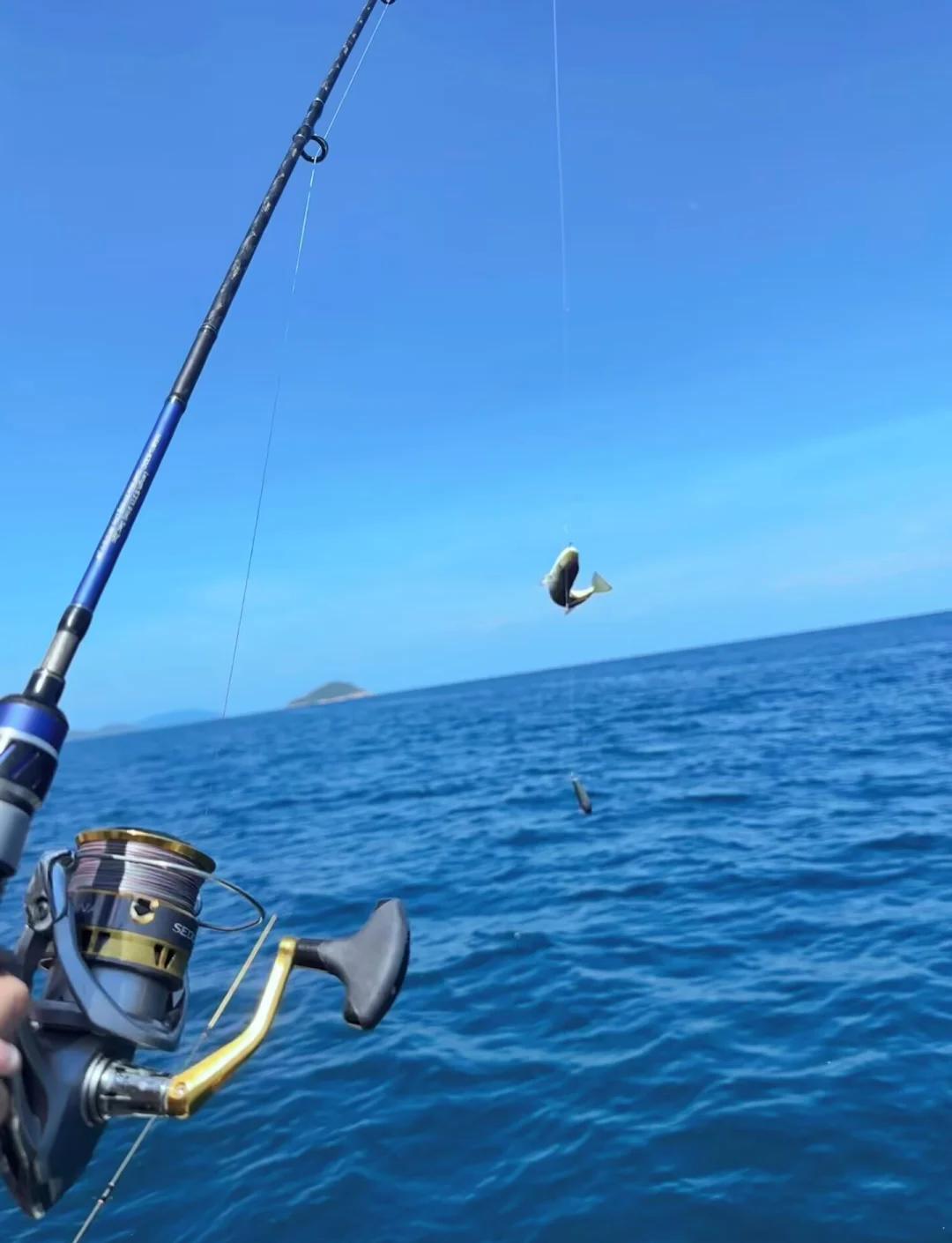 海钓小渔(海钓钓鱼视频)