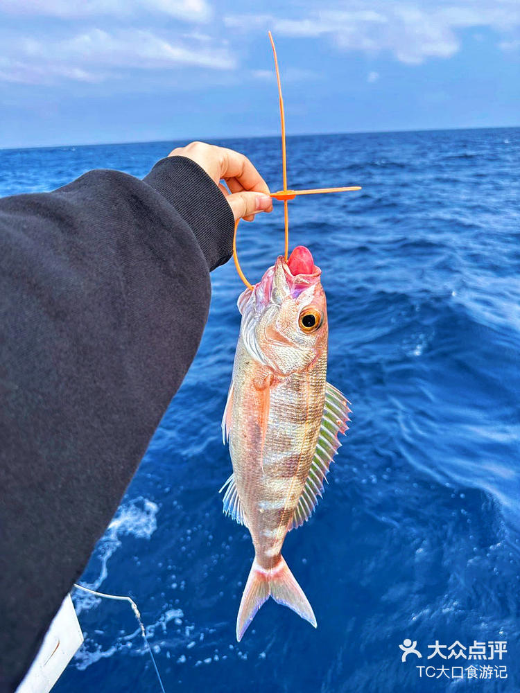 海钓拿手电照(海钓用手杆行吗)