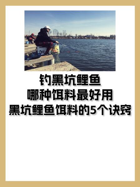 黑坑钓鲤鱼用小药技巧(垂钓黑坑鲤鱼小药使用发挥)