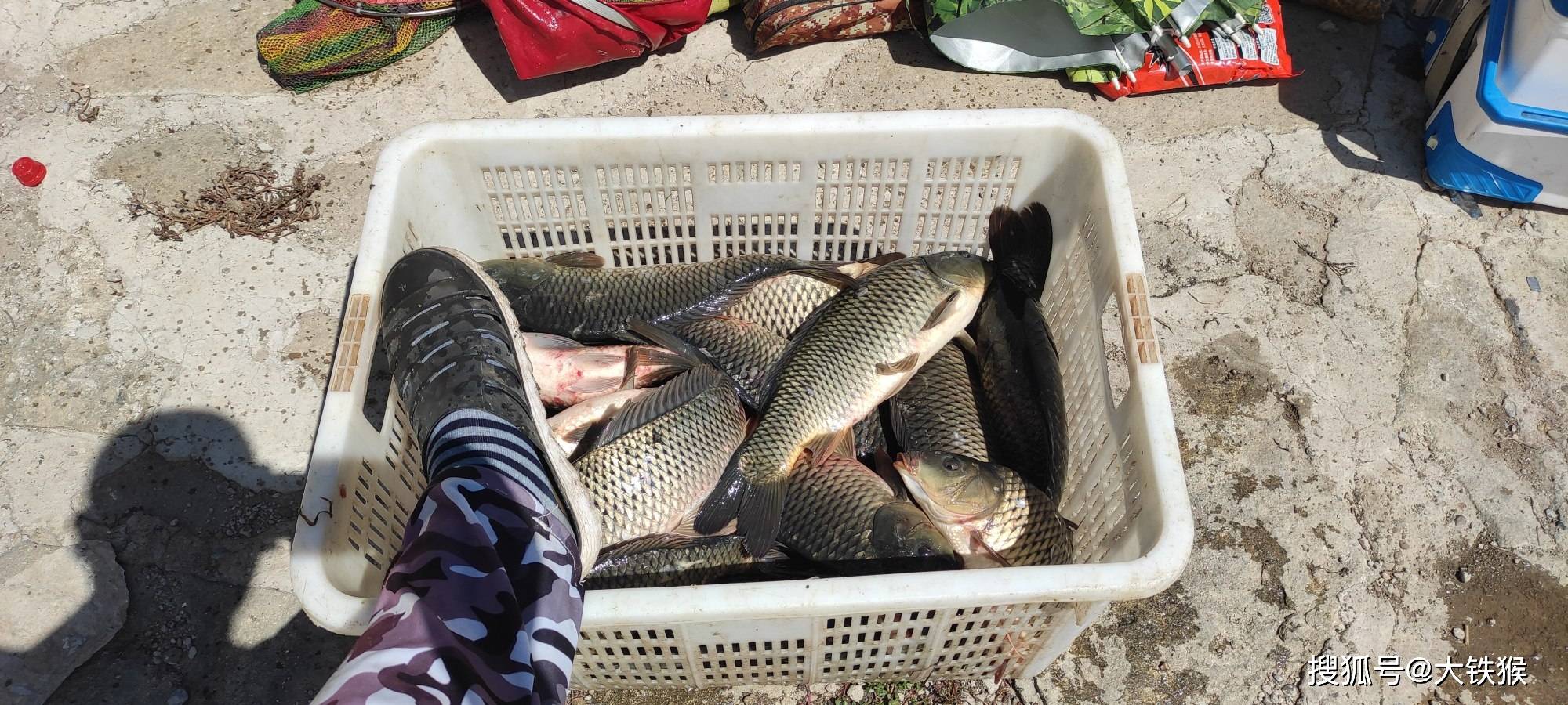 盒饭钓鱼技巧(盒饭钓鱼技巧和方法) 盒饭钓鱼技巧(盒饭钓鱼技巧和方法)