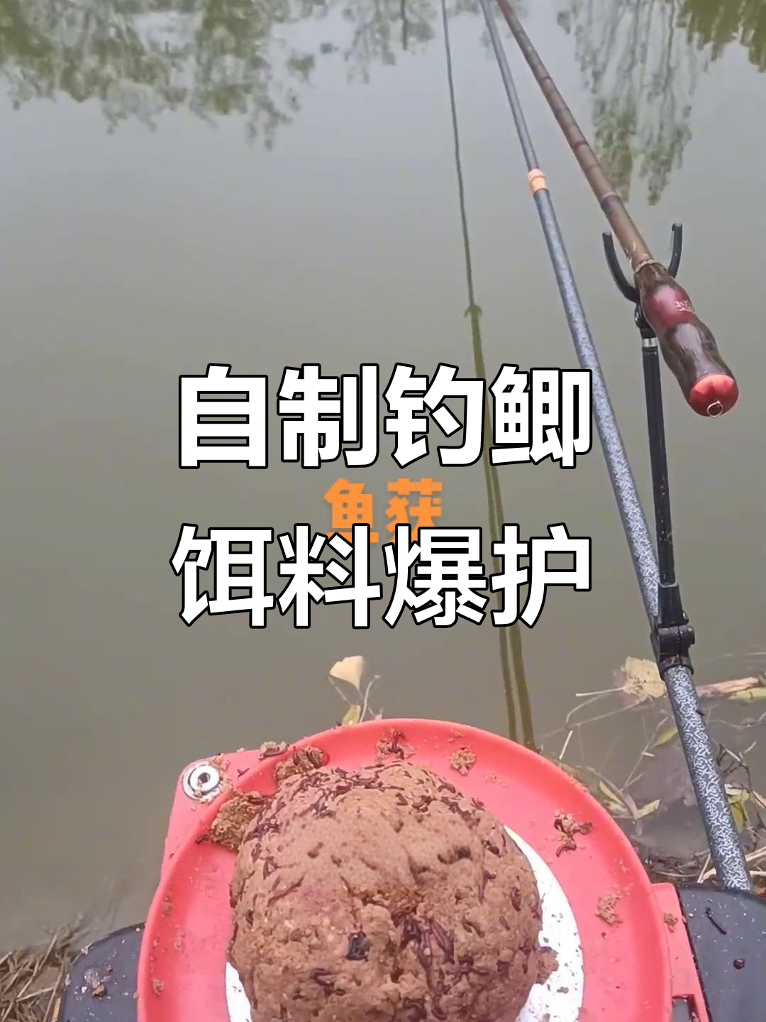 包含夏季鳊鱼饵料制作的词条