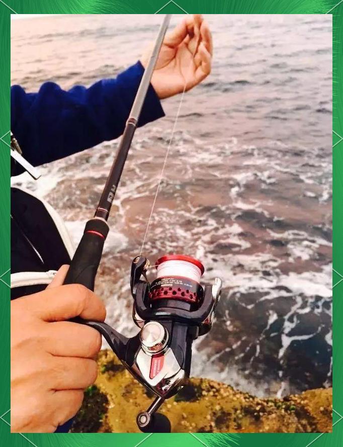 钓鱿鱼的工具跟技巧(钓鱿鱼的工具跟技巧有哪些)