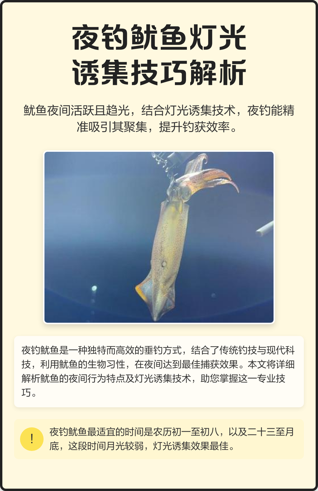 钓鱿鱼的工具跟技巧(钓鱿鱼的工具跟技巧有哪些)