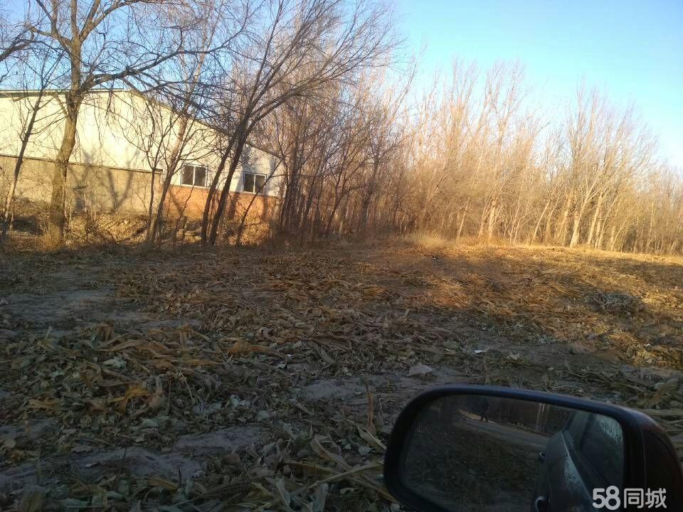 河北大厂国际渔具城(河北大厂国际渔具城电话)