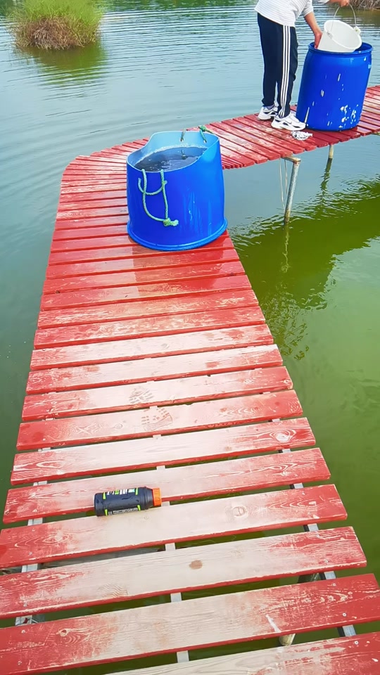 路亚南宁(南宁路亚群) 路亚南宁(南宁路亚群)