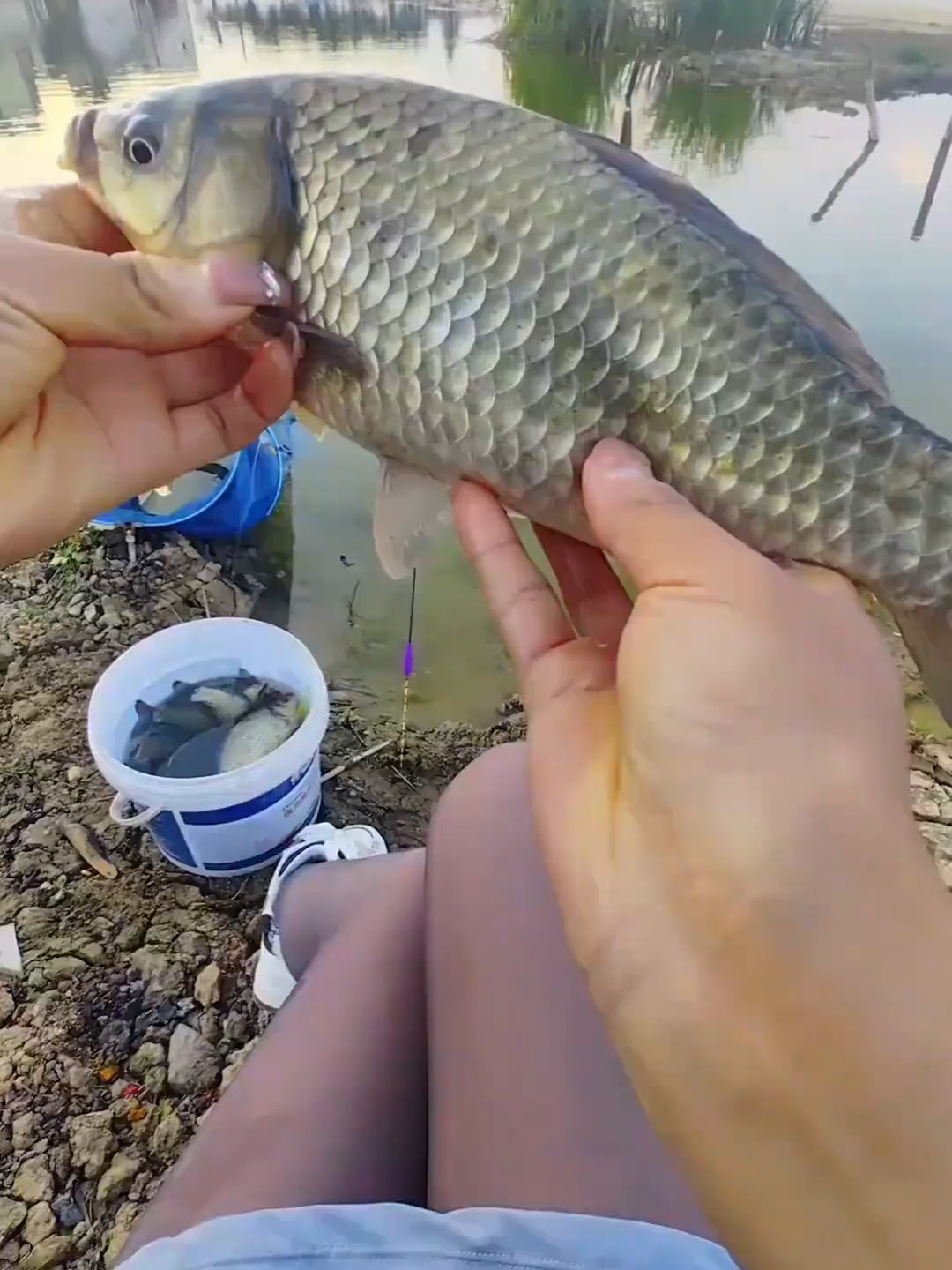路亚竿钓鲤鱼(路亚竿钓鲤鱼的使用方法)