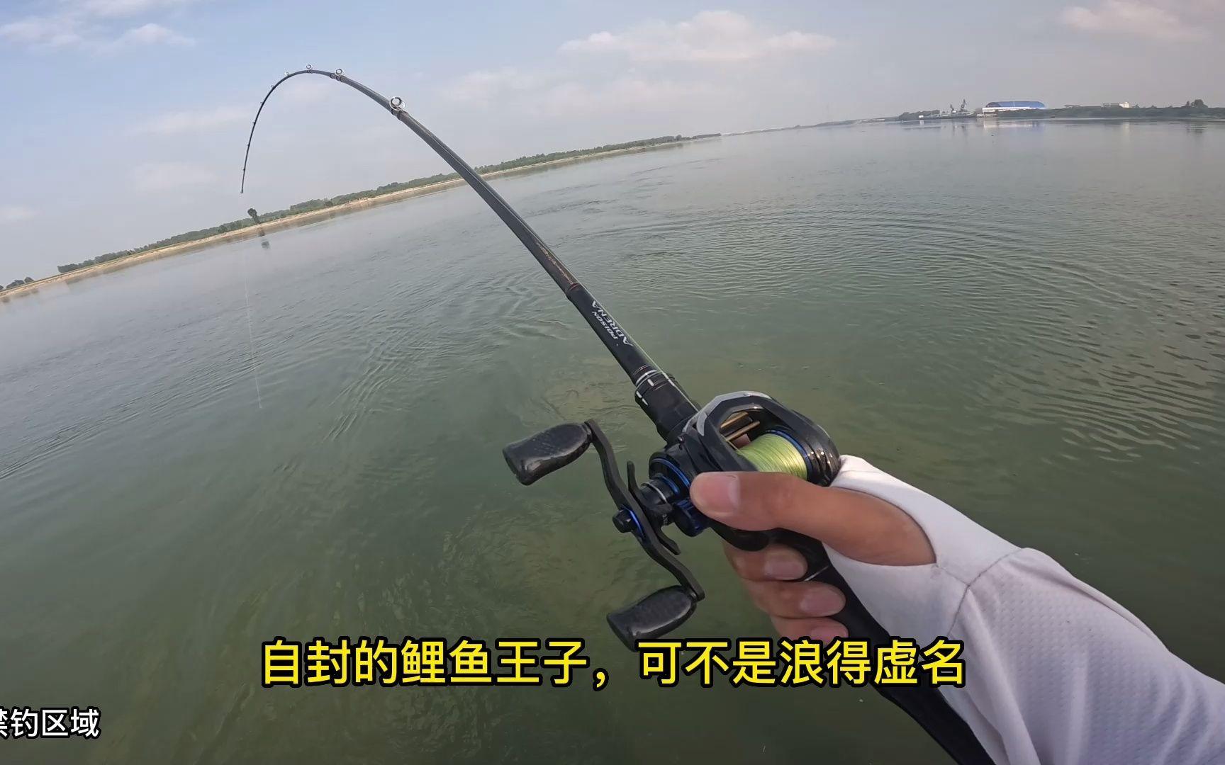 路亚竿钓鲤鱼(路亚竿钓鲤鱼的使用方法)