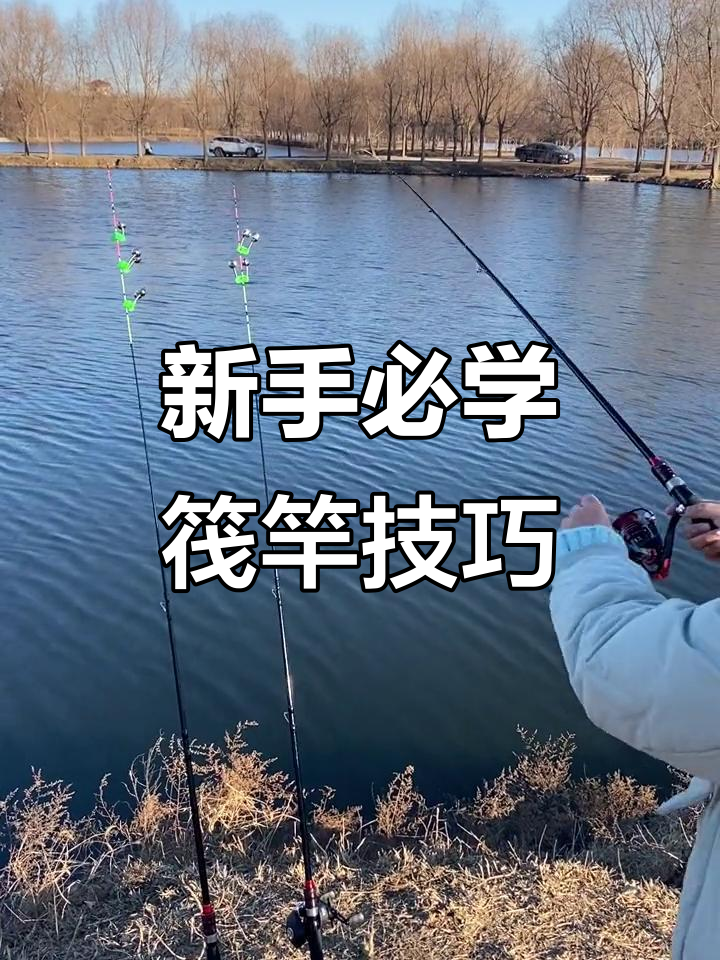 钓鱼鲤鱼的技巧视频(钓鱼鲤鱼的技巧视频讲解)