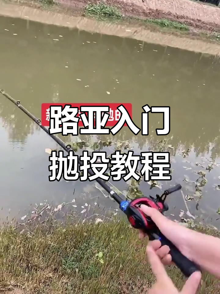 路亚抛投的技巧视频(路亚抛投教学视频全集)