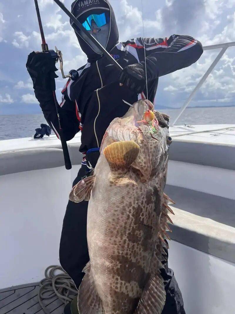 海钓遇到河豚(海钓遇到河豚什么意思)