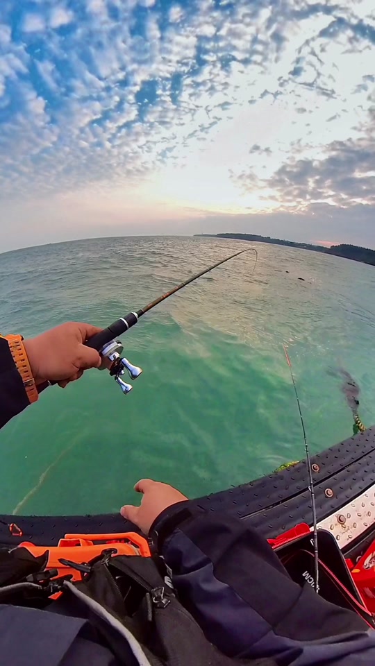 海钓最新钓点(海钓最新钓点图片)