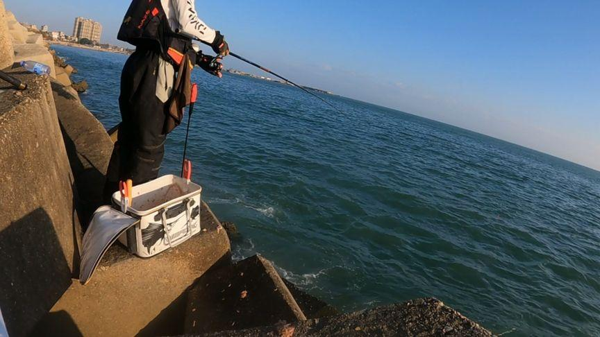 天津海边能海钓的地方(天津海边能海钓的地方有哪些)