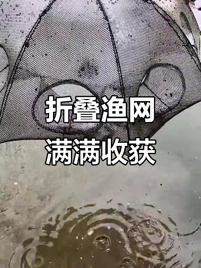 虾笼使用技巧(虾笼的制作方法)