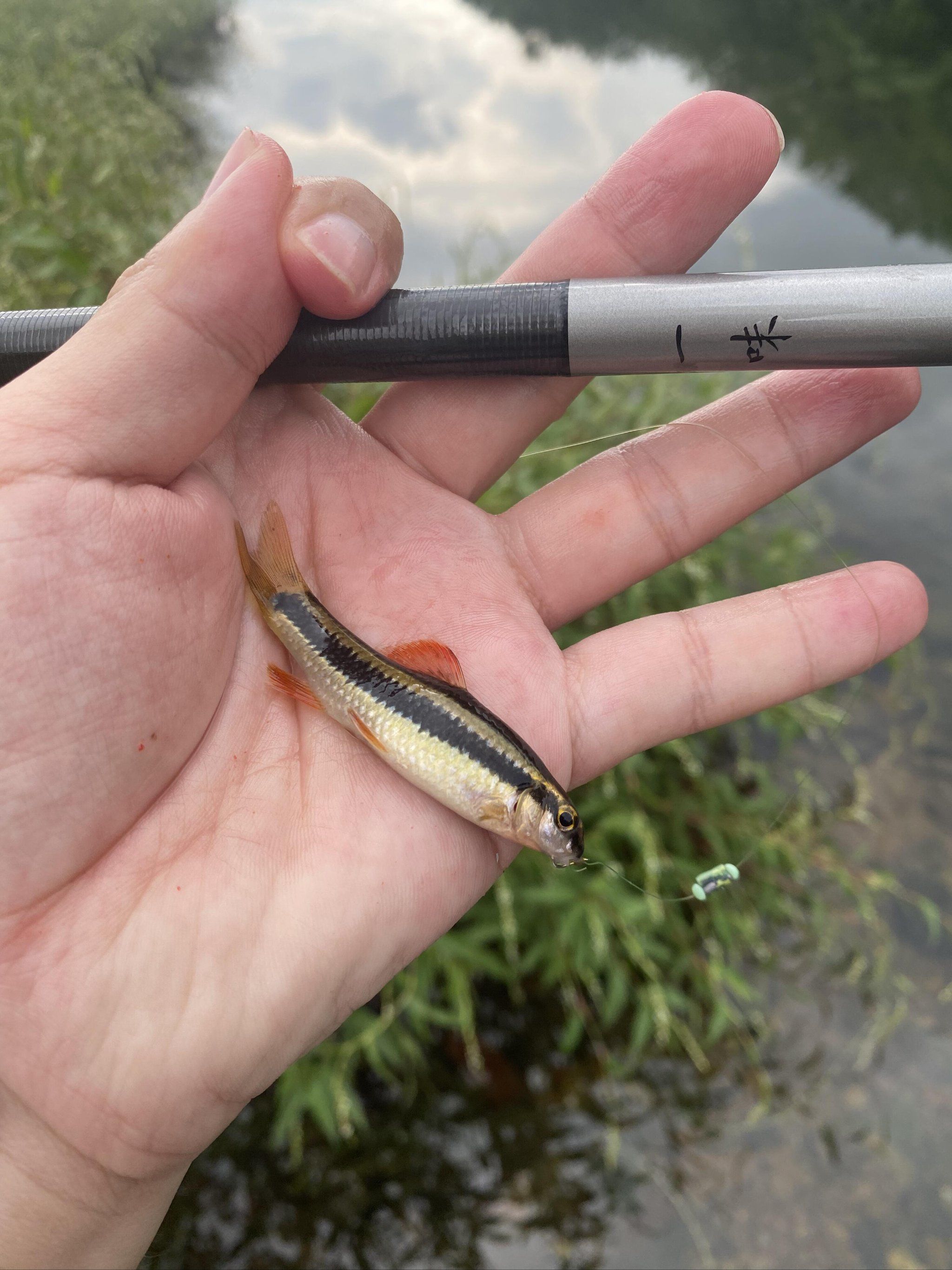 北方秋天晚上钓鱼技巧(北方秋天晚上钓鱼技巧视频)