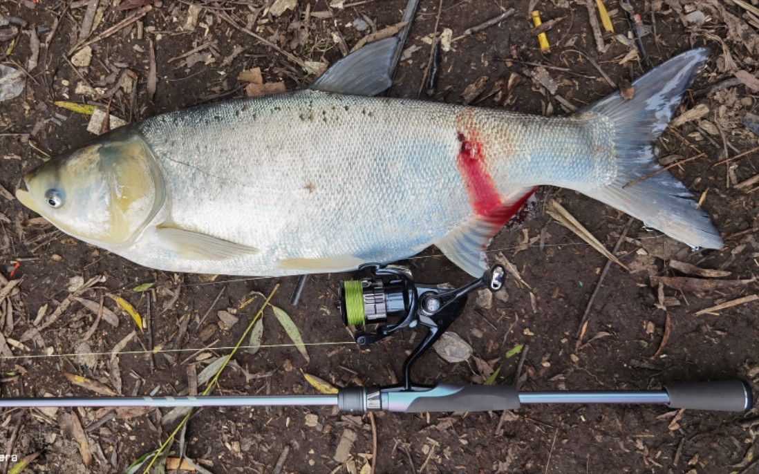 包头哪能路亚(包头附近钓鱼的地方)