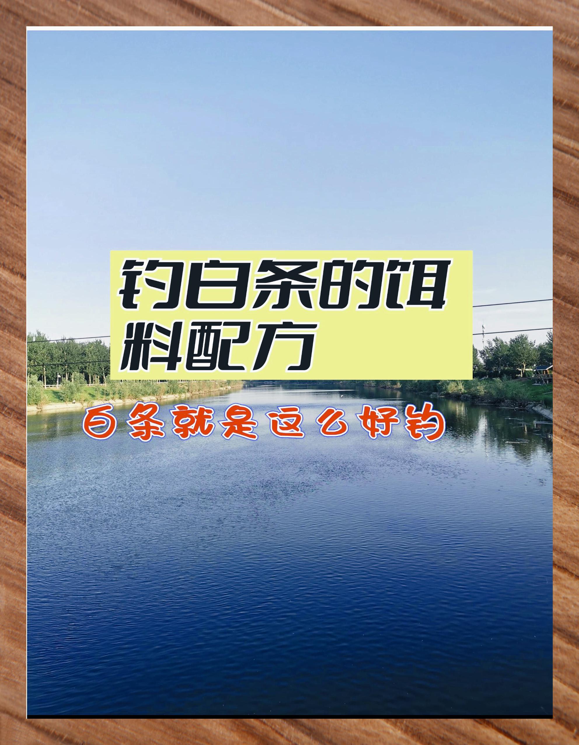 冬天钓白条用什么饵料(冬天钓白条钓底还是钓浮)