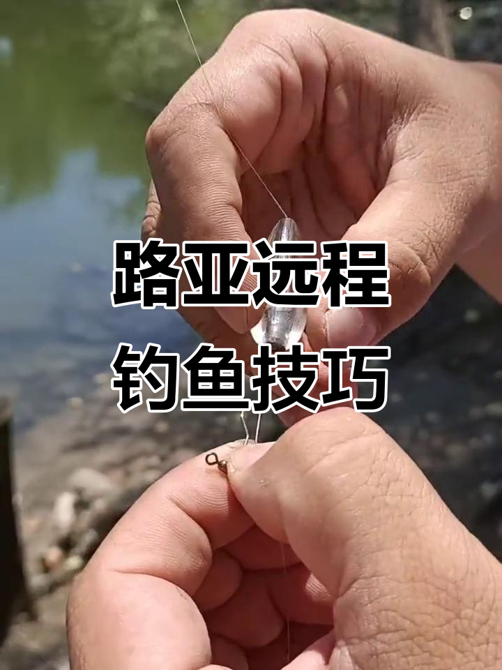 用路亚钓鱼要用铅坠吗(用路亚钓鱼要用铅坠吗为什么)