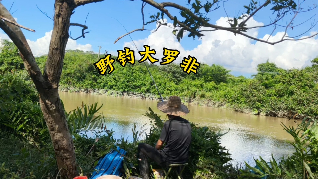 冬季野河钓罗非技巧(冬季钓罗非鱼技巧与鱼饵)