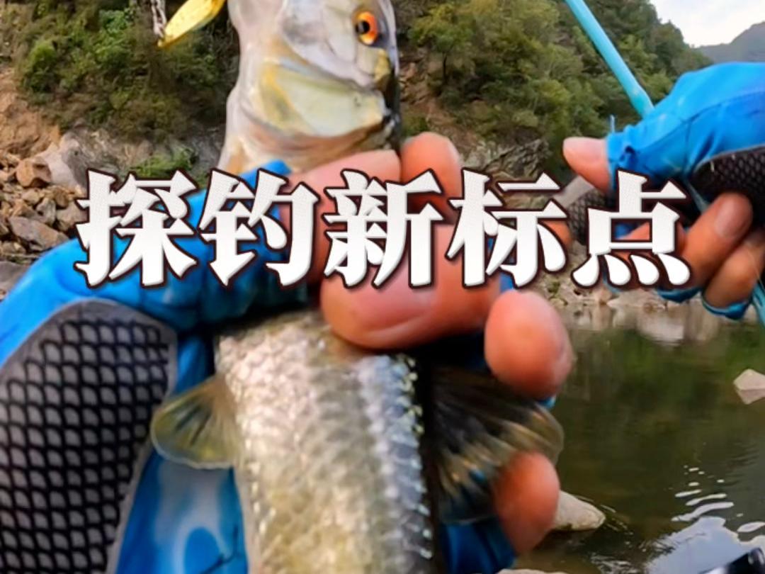 路亚马口标点(路亚的马口是什么意思) 路亚马口标点(路亚的马口是什么意思)