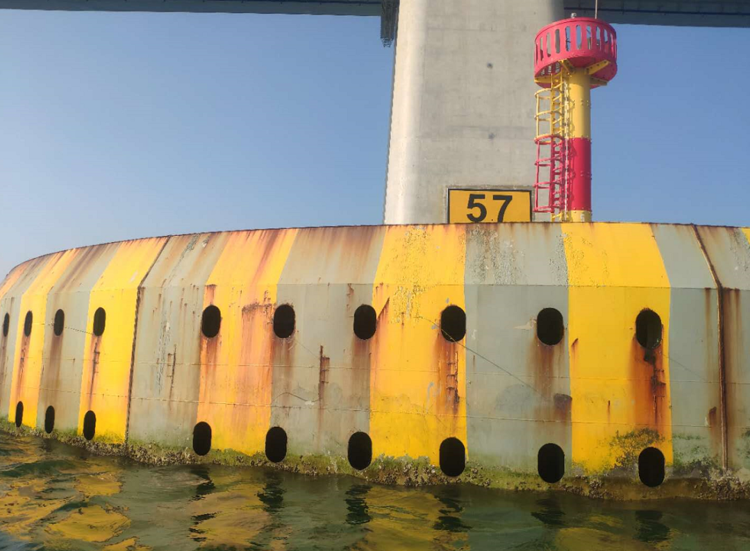 海钓罚款(钓海鱼犯法吗)