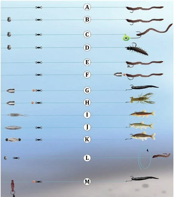路亚用几号线(路亚几号线配几克饵)