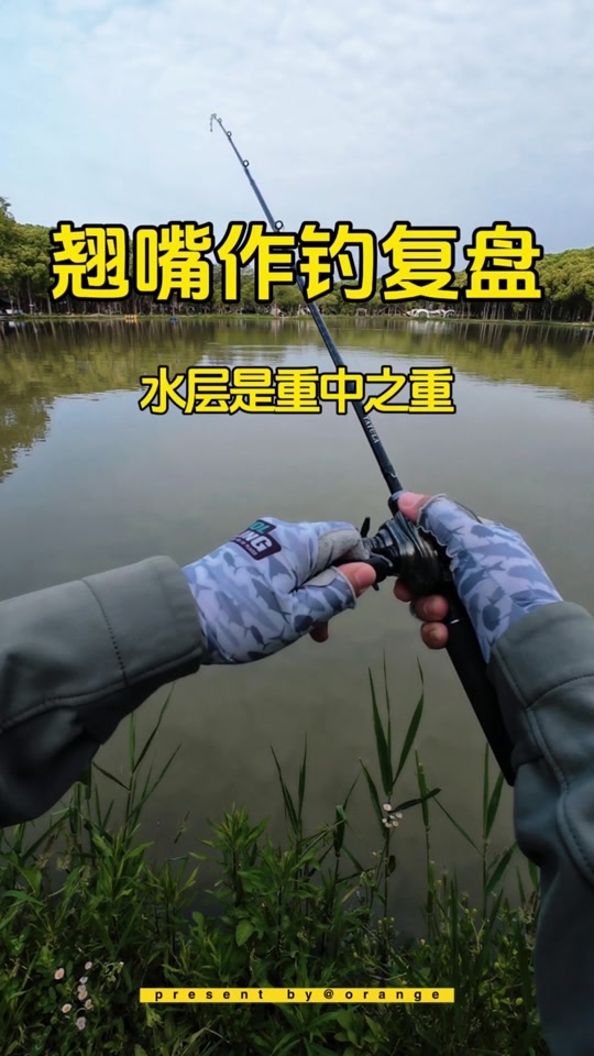 夏季钓翘嘴技巧视频(夏季如何钓翘嘴是钓底还是钓浮)