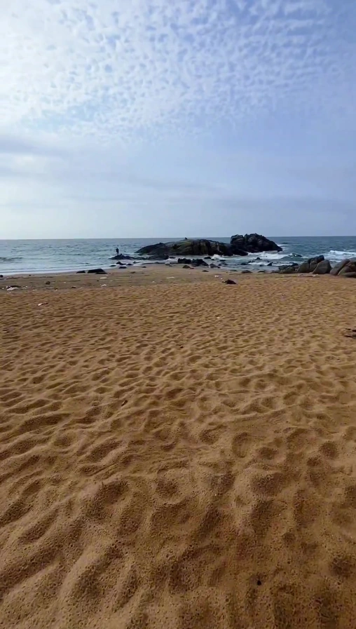 阳江有海钓吗(阳江有海钓吗最新消息)