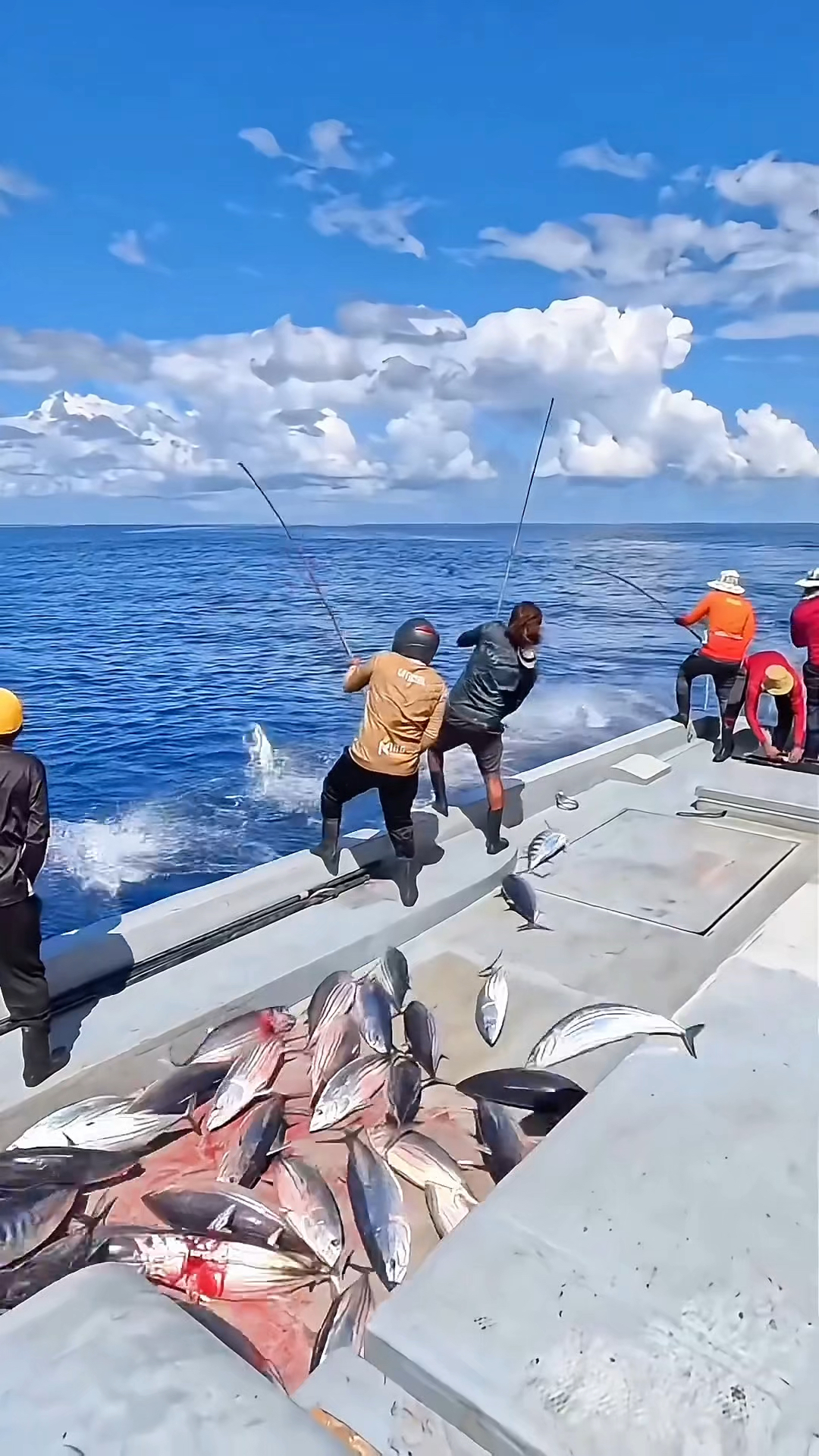 阳江有海钓吗(阳江有海钓吗最新消息)