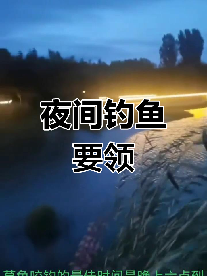 夜钓夏季钓草鱼技巧(夏季夜钓草鱼钓多深合适)