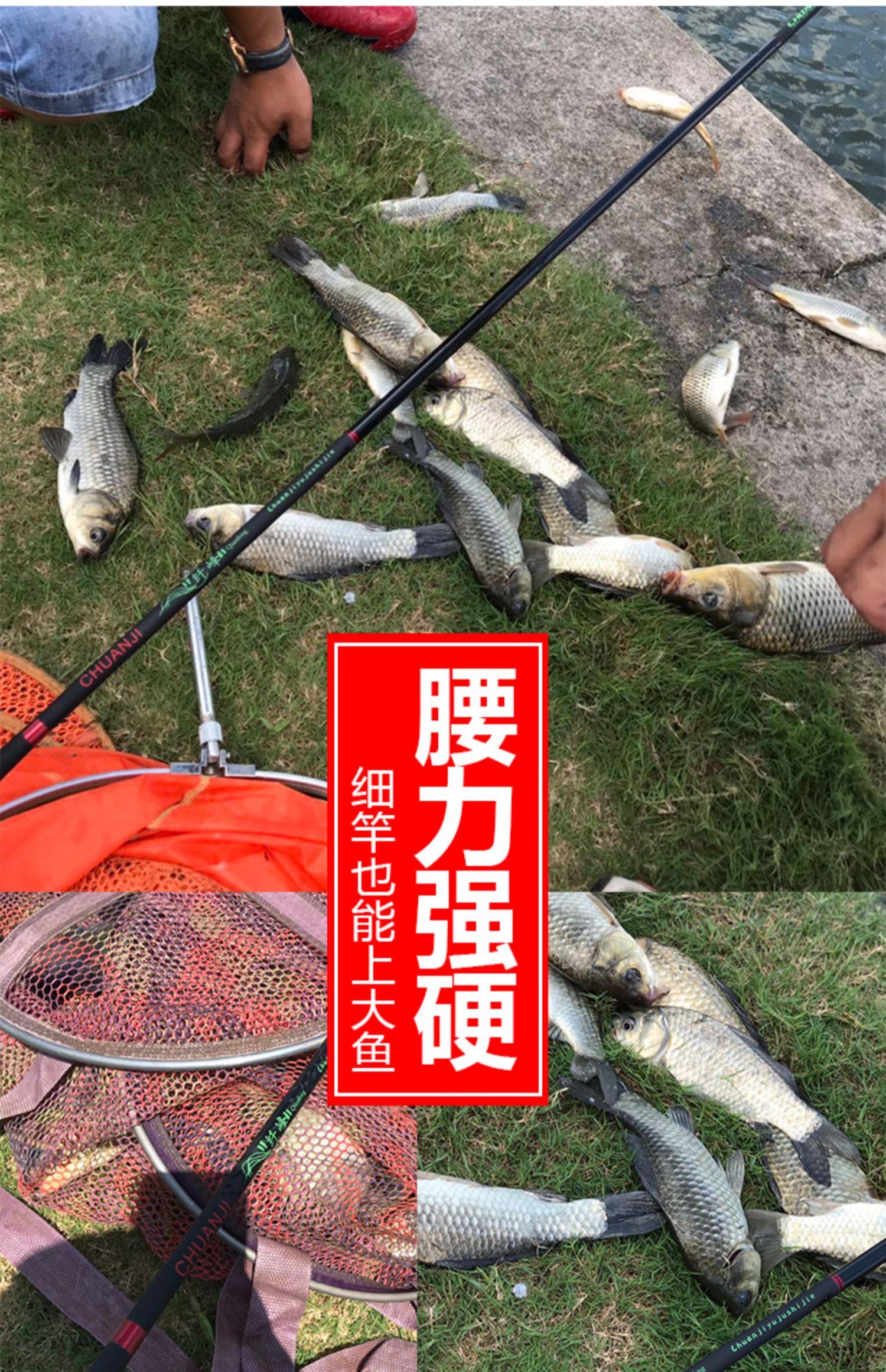 四海钓鱼大全(四海钓鱼forever young)