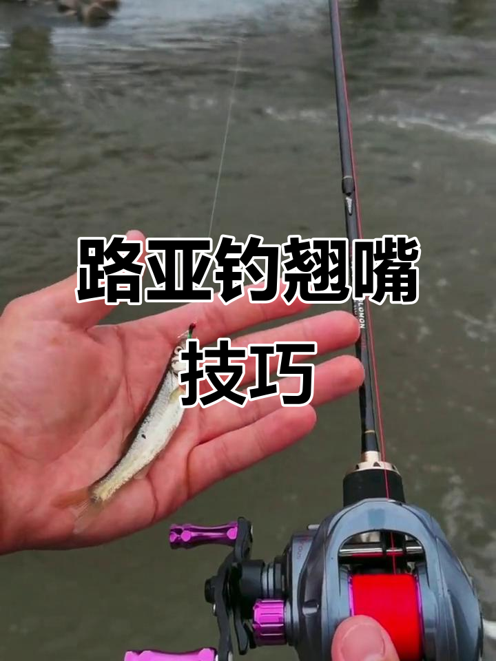 手竿用路亚饵(路亚竿可以手钓吗)