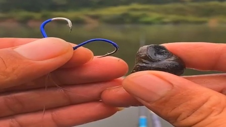 螺蛳挂钩技巧(螺丝挂钩钓鱼图片)