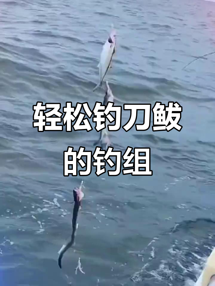 鲅鱼做钓技巧(鲅鱼做钓技巧视频教程)