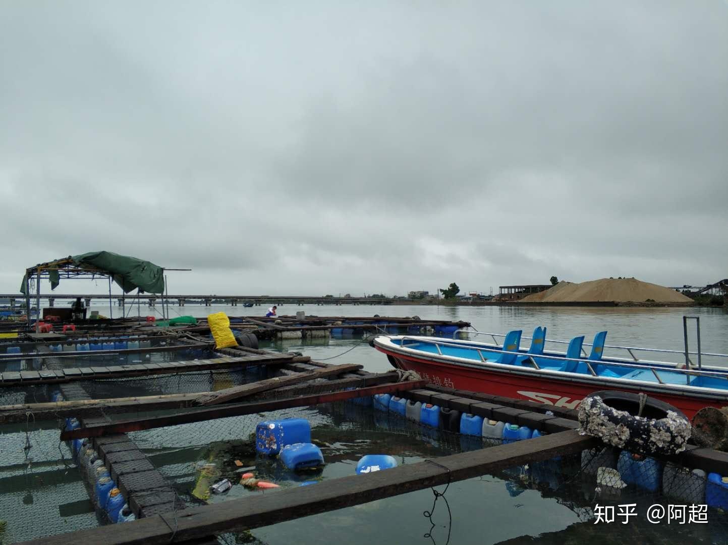 杨梅坑海钓怎样(杨梅坑钓鱼点怎么收费)