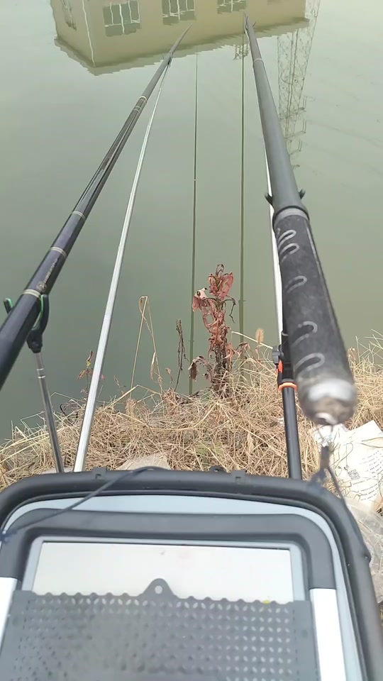 夏天夜钓昂刺技巧(夜钓昂刺鱼钓到什么时间)