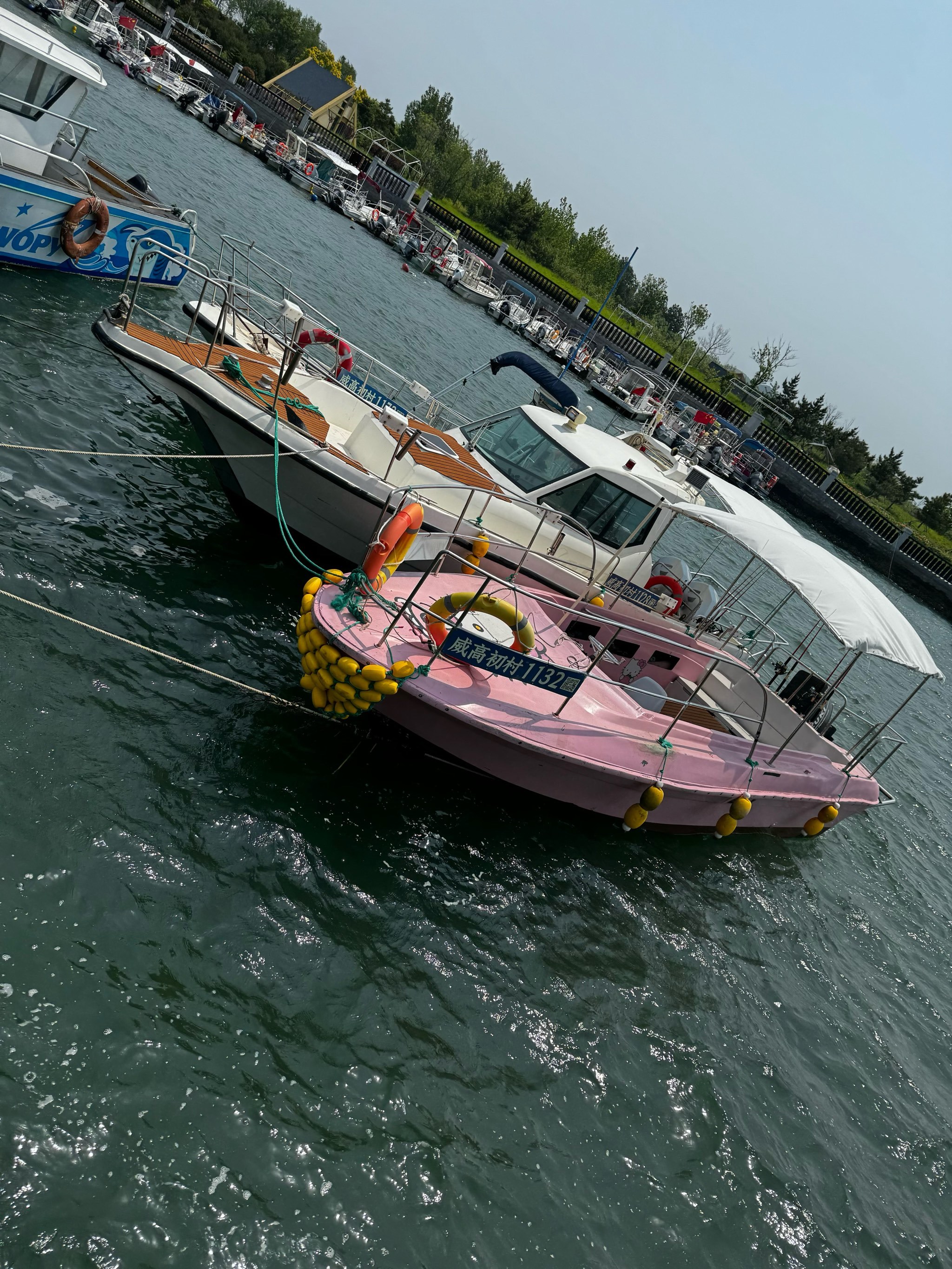 广州南沙海钓俱乐部(广州南沙海钓俱乐部地址)